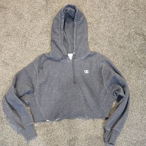 Champion Women Reverse Weave Crop Gray Pullover Hoodie Sweater Hood Sz L